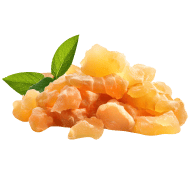 Boswellia