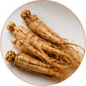Panax Ginseng