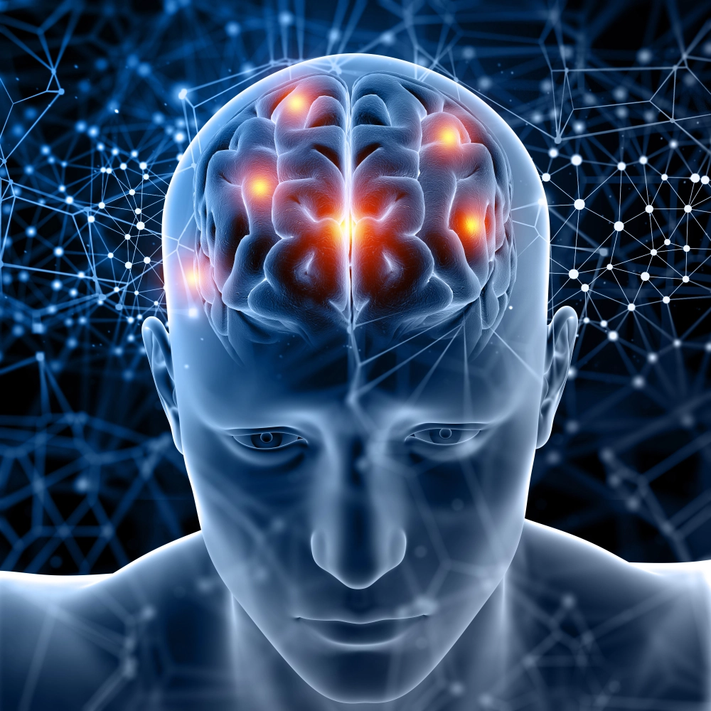 Active brain support