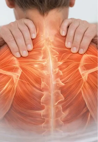 Neck and trapezius area
