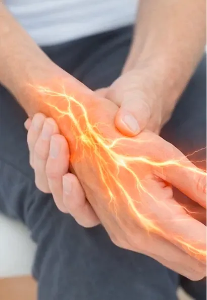 Hands